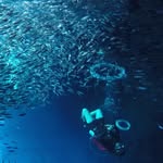 D⃨i⃨v⃨e⃨O⃨c⃨e⃨a⃨n⃨⚓️N⃨Z⃨ - @erin.spencer_diveocean.nz - Instagram