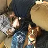 erinspringer18 - @erinspringer18 - TikTok