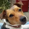 Erwin Steigerwald835 - @user339540172750 - TikTok