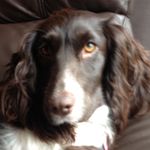 Erin Stephan - @erin_epic_2006 - Instagram