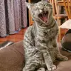 erinstephan7 - @erinstephan7 - TikTok