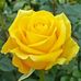 Erin Stover - Facebook