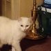 Erin Stover - Facebook