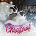 Erin Stover - Facebook