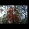 erinstratton19 - @erinstratton19 - TikTok