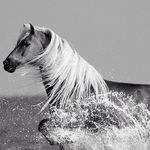 ᎬᎡᏆN ᏚᎢᏌᏟKᎬY - @erin_stuckey_24 - Instagram