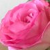 Erin Siess - Facebook