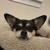 Erin - @erinterwilliger90 - TikTok