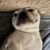 erinthibodeaux - @erin.thibs - TikTok