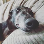 Et Mp - @erintiptonmar - Instagram