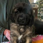 Erin Toth Flagg - @adventures.of.sir.atlas - Instagram