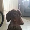 Erin Townley - @erin.townley3 - TikTok