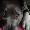 erinrocktremblay - @erinrocktremblay - TikTok