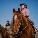 Erin Valley Riding Stables - @erinvalleyridingstables - Instagram