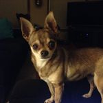 Erin Waggoner - @erinwaggoner - Instagram
