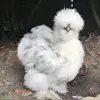 Dontusethisaccountx - @erin_waugh_3 - TikTok