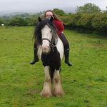 Erin Waugh - @erin_horses - Instagram
