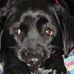 Erin Mele Wendt - Facebook