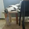 erinwenger7 - @erinwenger7 - TikTok