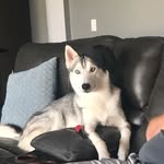 Erin Westberg - @edwest05 - Instagram