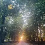 Erin Westfall - @westfallerin - Instagram