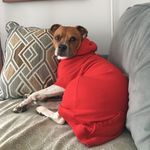 Erin Westfall - @erin_kathy3 - Instagram