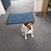 Erin Wilkey - Facebook