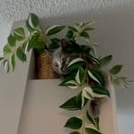 erin - @_erinwillard_ - Instagram