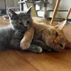 erin - @erin.willard - TikTok