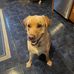 Erin Willard - Facebook