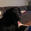 Ernie - @erinyeet_10 - TikTok