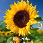 Erlin Martinez - @erlinmartinez93 - Instagram