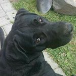 Bjørn Erling Holm - @julenissenlever - Instagram