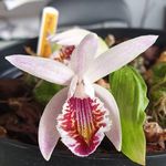 Erling Flyvholm - @erlingflyvholm - Instagram