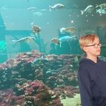 Erling Holm Nielsen - @erlingholmnielsen - Instagram