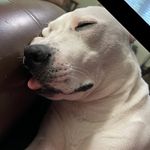 Erma Burnett Moy - @ermamoy - Instagram