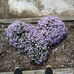 Erma Doss - @ermadoss - Instagram