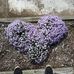 Erma Doss - Facebook