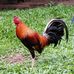 Erwin Ermac - Facebook