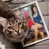 user4465598310288 - @enermafields - TikTok