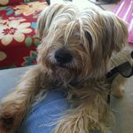 Erma - @ermafrank - Instagram