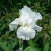 Erma Freeman - Facebook