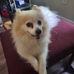 Irma Gibson - Facebook