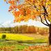 Erma Hicks - Facebook