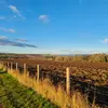 ErmaHill - @ermahill29 - TikTok