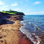The Mermaid Beach House PEi - @the.mermaid.beach.house - Instagram