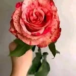 erma lopez - @ermalopez57 - Instagram