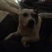 Irma Lyons - Facebook