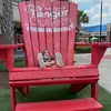 madison ermalovich - @madisonermalovich - TikTok
