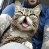 Erman Mann - @erman.mann - TikTok